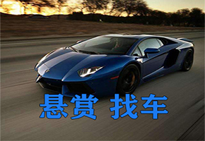四川保镖找车公司因缺钱把车抵押了，结果被抵押公司卖了，怎么办？